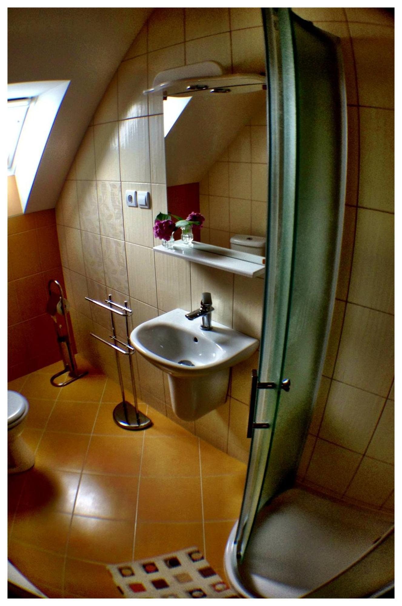 Penzion Skalna Ruza - Koevirozsa Panzio Gemerská Horka Zimmer foto