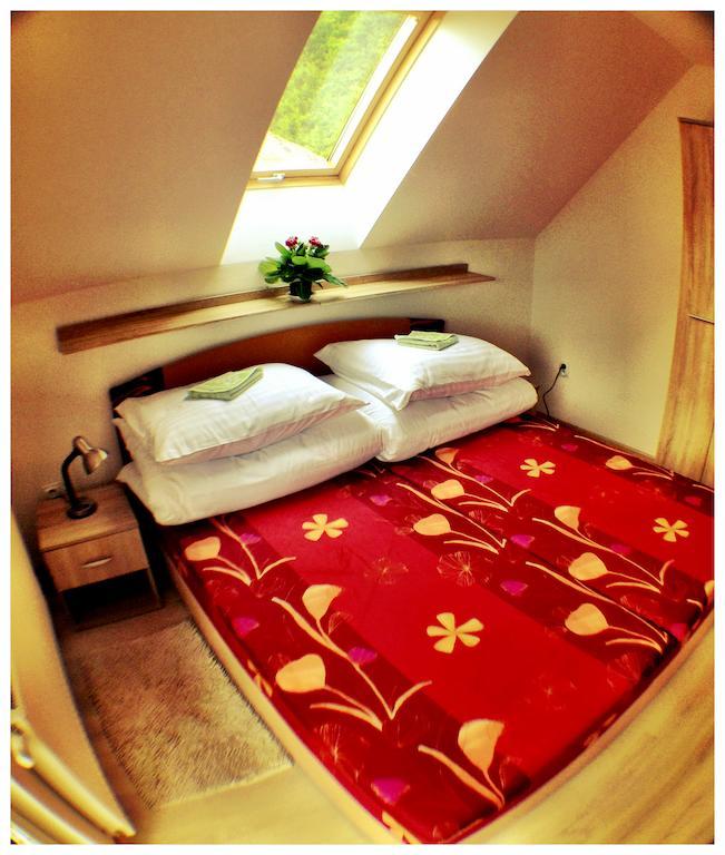 Penzion Skalna Ruza - Koevirozsa Panzio Gemerská Horka Zimmer foto