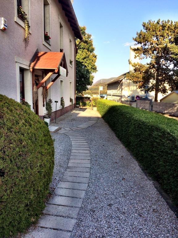 Penzion Skalna Ruza - Koevirozsa Panzio Gemerská Horka Exterior foto
